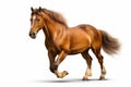Brown horse is running on white background with long tail. Generative AI Royalty Free Stock Photo