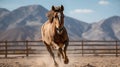 Playful Brown Horse Running in Dusty Corral