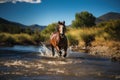 A brown horse runs rapidly through the water of a mountain river on a sunny day