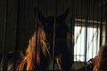 brown horse in the stable. horse in his aviary. stable with animals Royalty Free Stock Photo