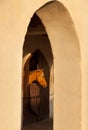 Brown Horse in the Stable Among Sunlit Arches