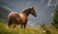 a brown horse standing on top of a lush green field next to a forest filled with tall grass covered mountains in the distance are Royalty Free Stock Photo