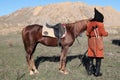 A brown horse waiting in a mountainous landscape. Royalty Free Stock Photo