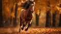 Lively Horse Running In Autumn With Warm Tones