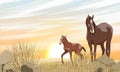 A brown horse with a white spot and its foal are walking along a desert rocky area with stones and dry grass. Sunset in the steppe