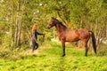 A brown horse and a young woman,on a forest trail in the autumn evening sun Royalty Free Stock Photo