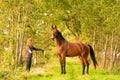 A brown horse and a young woman,in grass on a forest trail in the autumn evening sun Royalty Free Stock Photo
