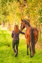 A brown horse and a young woman, walking on a forest trail in the autumn evening sun Royalty Free Stock Photo