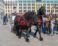 Brown horses, with a braided mane, harnessed to a carriage, near the Brandenburg Gate in Berlin, among the tourists