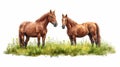 Brown Horses Grazing in a Paddock AI Generated