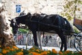 Brown horses with carriage ride resting in shade, center of Palma, Mallora, Spain Royalty Free Stock Photo