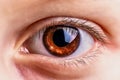 Brown human eye, very close-up, photo stylized as an oil painting Royalty Free Stock Photo