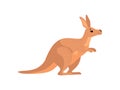 Brown Kangaroo, Cute Wallaby Australian Animal Character, Side View Vector Illustration Royalty Free Stock Photo