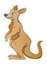 Brown Kangaroo, illustration