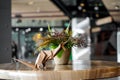 Brown kangaroo paper folding origami, decorates in restaurant, coffee shop