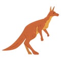 Brown Kangaroo, Wallaby Australian Animal Side View Cartoon Vector Illustration