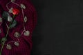 Brown knitted plaid and red rose on black background. Overhead v Royalty Free Stock Photo