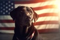 Brown labrador dog against USA flag, patriotic feeling, The 4th of July celebration Royalty Free Stock Photo