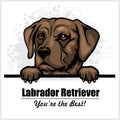 Brown Labrador - vector peeking dog head, dog breed