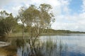 Brown Lake, Stradbroke Island