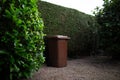 Brown large plastic bin for trash on backyard, around of tree hedge