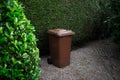 Brown large plastic bin for trash on backyard, around of tree hedge