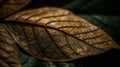 Brown leaf close up background for graphic design or PowerPoint presentations ai generated Royalty Free Stock Photo