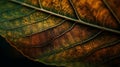 Brown leaf close up background for graphic design or PowerPoint presentations ai generated Royalty Free Stock Photo
