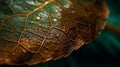 Brown leaf close up background for graphic design or PowerPoint presentations ai generated Royalty Free Stock Photo