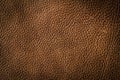 Brown leather background or texture Royalty Free Stock Photo
