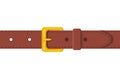 Brown leather belt. Clothing element stylish accessorie. Leather belts