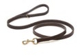 Brown leather belt for dog Royalty Free Stock Photo