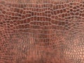 Brown leather with crocodile skin that looks upright from the guitar case. leather of exotic skin look luxury can use for backdrop