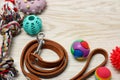 Brown leather dog leash and toys on white wooden background, closeup. Space for text Royalty Free Stock Photo