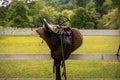 Brown leather equestrian sport equipment and accessories hanging on fence Royalty Free Stock Photo