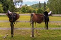 Brown leather equestrian sport equipment and accessories hanging on fence of a ranch Royalty Free Stock Photo