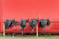 Brown leather horse saddles before the ride on red