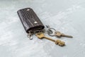 Brown leather key holder Royalty Free Stock Photo