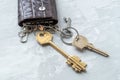 Brown leather key holder Royalty Free Stock Photo