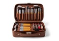Brown leather makeup brush case with assorted brushes isolated on white background Royalty Free Stock Photo