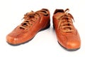 Brown leather men's shoe