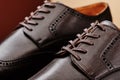 Brown leather men& x27;s shoes in classic style on a wooden cut. Close-up Royalty Free Stock Photo