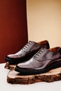 Brown leather men& x27;s shoes in classic style on a wooden cut. Close-up Royalty Free Stock Photo