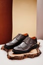 Brown leather men's shoes in classic style on a wooden cut. Close-up Royalty Free Stock Photo