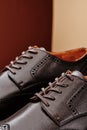 Brown leather men& x27;s shoes in classic style close-up Royalty Free Stock Photo
