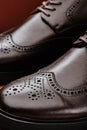 Brown leather men& x27;s shoes in classic style close-up Royalty Free Stock Photo