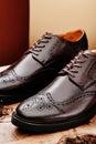 Brown leather men& x27;s shoes in classic style on a wooden cut. Close-up Royalty Free Stock Photo