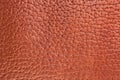 Brown leather pattern. Royalty Free Stock Photo