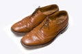 Brown leather shoes Royalty Free Stock Photo