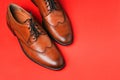 Brown leather shoes close-up on a red background with a copy of the space. Stylish and fashionable shoes made of genuine leather.